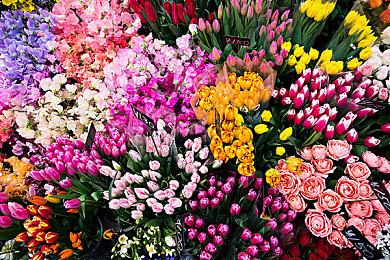 回合制策略游戏《Artifice: War Tactics》现已登陆Steam