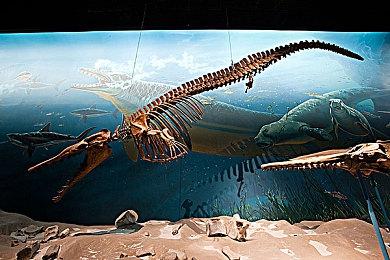 第一人称心理恐怖 《缄默祸运》试玩版新增中文支持